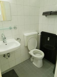 a bathroom with a white toilet and a sink at Knusse Natuur Bungalow Hartje Veluwe in Otterlo
