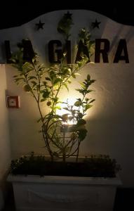 Gallery image of Hotel La Giara in Celle Ligure
