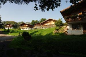 a group of cottages on a hill with green grass at Blockhaus-Ferienpark in Eisenschmitt