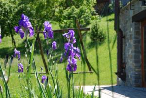 Φωτογραφία από το άλμπουμ του Il Paradiso monolocale Cottage σε Albareto