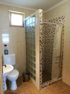 Un baño con ducha, inodoro y lavabo. en Faház, en Tiszaszőlős