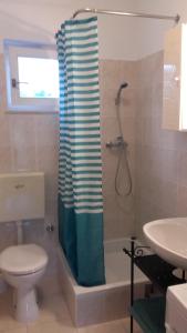 a bathroom with a toilet and a shower curtain at House Paradise in Širitovci +20 photos