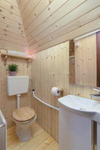 Phòng tắm tại Chalet Gorenjka - Velika planina