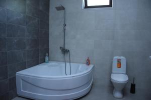 Ένα μπάνιο στο Sameba apartments +23 φωτογραφίες