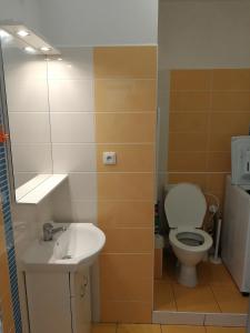 a bathroom with a toilet and a sink at Apartmán v Jihlava City in Jihlava