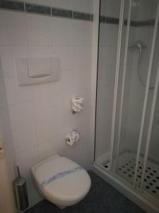 La salle de bains est pourvue d'une douche et de toilettes. dans l'établissement Hotel Meripol, à Alba Adriatica