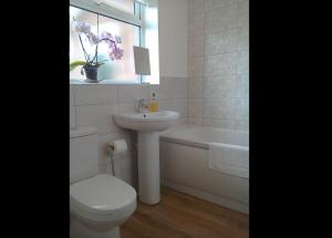 a bathroom with a toilet and a sink and a tub at The annex at 44 Belvidere Road in Shrewsbury