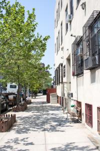 uma rua da cidade com uma árvore e edifícios em NY Moore Hostel em Brooklyn