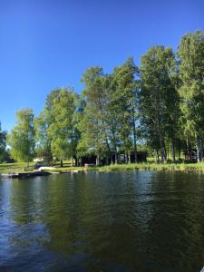 a view of a lake with trees in the background at Ollila Rantamökit in Kerimäki