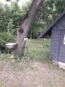Zahrada ubytování Tiny house Ružēni