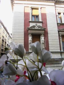 a bunch of white flowers in front of a building at Apartment Danijela-City Centar in Belgrade