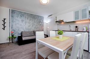 Kuchyň nebo kuchyňský kout v ubytování Apartment and Studio Tereza