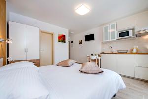 Kuchyň nebo kuchyňský kout v ubytování Apartment and Studio Tereza