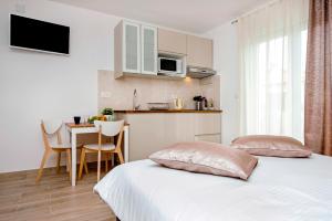 Kuchyň nebo kuchyňský kout v ubytování Apartment and Studio Tereza