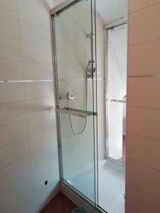 a shower with a glass door in a bathroom at Apartment Greta,50 METERS TO THE BEACH in Banjole +19 photos