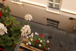 Fotografia z galérie ubytovania Apartments Abate 4 v destinácii Valencia