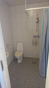 a bathroom with a toilet and a sink and a shower at Tossene Vandrahem in Hunnebostrand