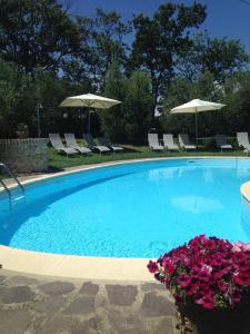 a swimming pool with chairs and umbrellas and flowers at Oliveta in Tavarnelle Val di Pesa
