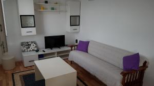a living room with a couch and a tv at Apartman Vojaline in Milna