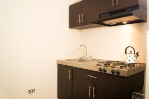 a kitchen with a sink and a stove top oven at Suite 1C, Balcon, Garden House, Welcome to San Angel in Mexico City