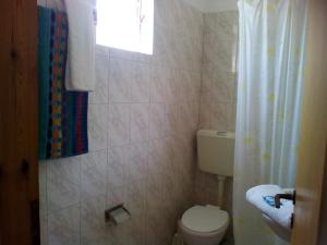 a bathroom with a toilet and a shower curtain at Maria Gerokonstanti Studios in Elliniká