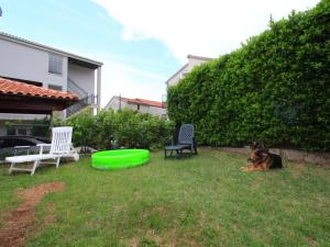 Zahrada ubytování Apartment GIARDINO
