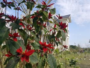 Zahrada ubytování Yi Tian Homestay