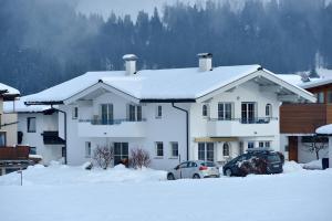 Martin Feyersinger im Winter