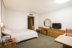 TV a/nebo společenská místnost v ubytování Busan Tourist Hotel