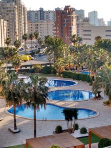 a view of two pools with palm trees in a city at coral beach in Calpe