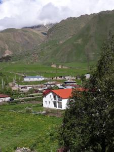 een klein dorpje in een vallei met een berg bij Chalet Pkhelshe in Kazbegi