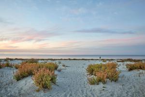 a beach with plants in the sand and the ocean at The Bay Residence, Dunsborough WA in Quindalup