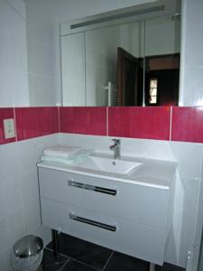 ein Badezimmer mit einem weißen Waschbecken und einem Spiegel in der Unterkunft Chambre d'Hôtes Quietude en Vallée de Chevreuse in Magny-les-Hameaux