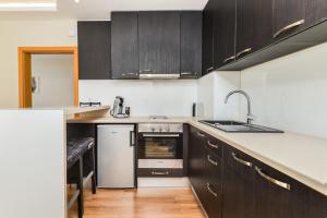 a kitchen with black cabinets and a sink and a stove at The M Place in Sofia