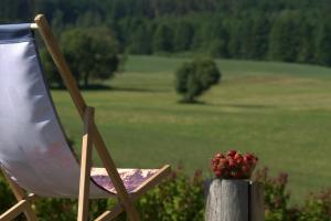 Przyroda w pobliżu tego gospodarstwa agroturystycznego