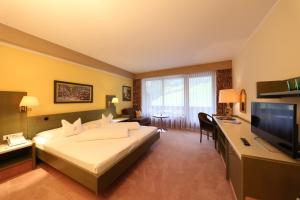 TV a/nebo společenská místnost v ubytování Hotel Lamark