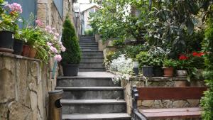 a set of stairs with potted plants and a bench at Sani Hotel in Tbilisi City