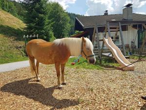 a brown horse standing next to a slide at Almliesl ZELL-448 in Zell am See