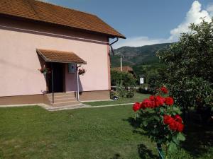 a small building with red roses in the yard at Rooms Violeta in Mokra Gora