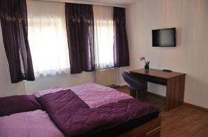 TV a/nebo společenská místnost v ubytování Gästezimmer Michelangelo