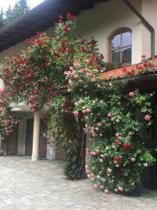 Zahrada ubytování Ferienhaus Kramser