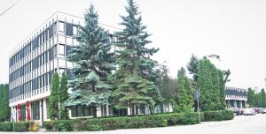 two pine trees in front of a building at Hotel Restaurant Imperial in Sighişoara