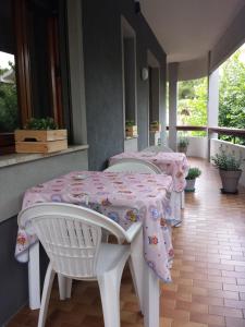Zahrada ubytování B&B DREAM