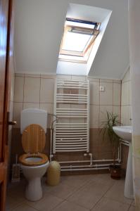 a bathroom with a toilet and a skylight at Pensiunea Moldovan in Praid