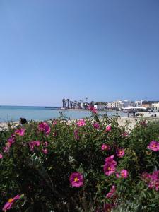 切薩雷奧港的住宿－Stanze Agli Ulivi，海滩上一束粉红色的鲜花
