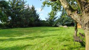 a park with a bench next to a tree at FeWo1 in Born