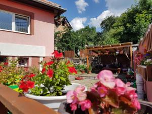 Zahrada ubytování BTO Holiday Home