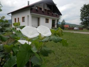 Zahrada ubytování Guesthouse Matija