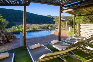 a patio with two lounge chairs and a swimming pool at Thunzi Bush Lodge in Beachview
