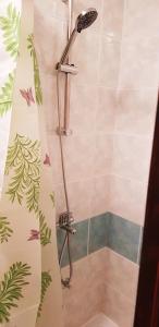 Gallery image of Apartment Bjanka in Pakoštane